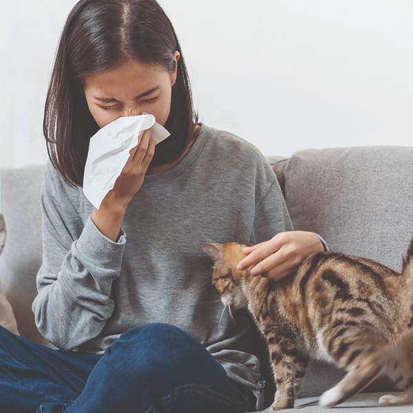 Allergy Nasal Sprays