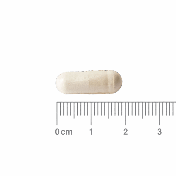 Lamberts Biotin Capsules